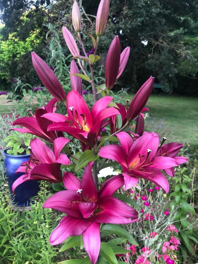 Newlands Bed And Breakfast West Melton ภายนอก รูปภาพ